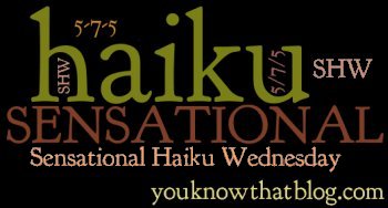 Sensational Haiku Wednesday