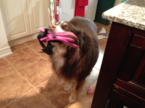 Sadie's booties