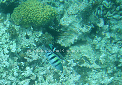 cuba2013-05