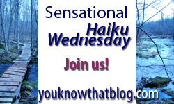 Sensational Haiku Wednesday Sensational Haiku Wednesday